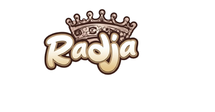 Logo Sekoteng & Wedang Ronde Radja